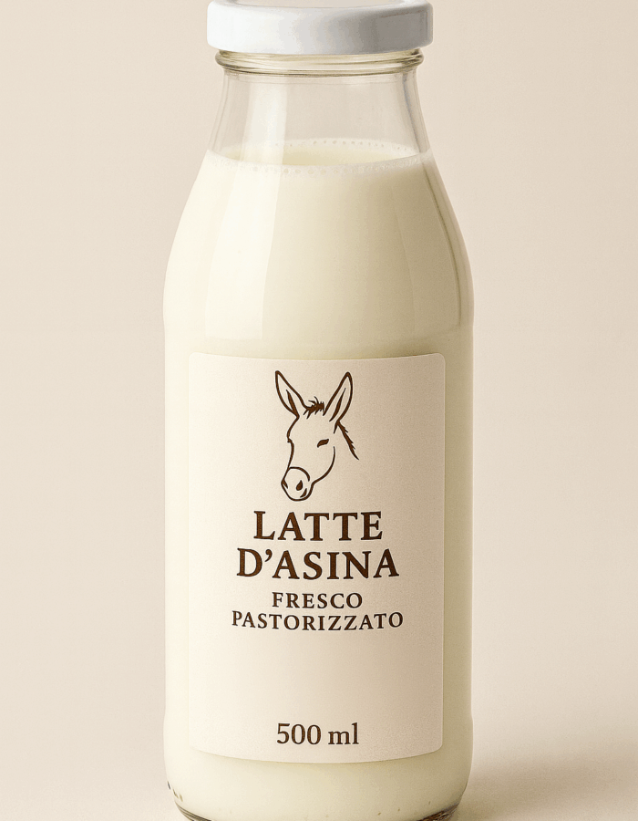 ChatGPT Image 8 ago 2025, 20_29_17