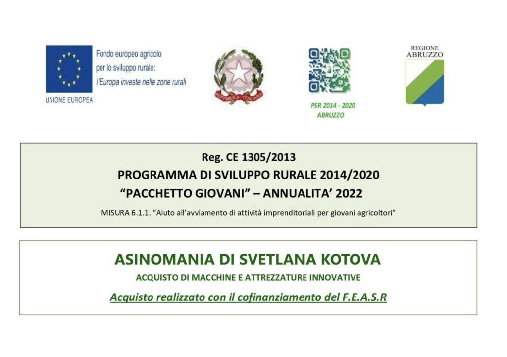 photo_2025-12-04_19-28-28